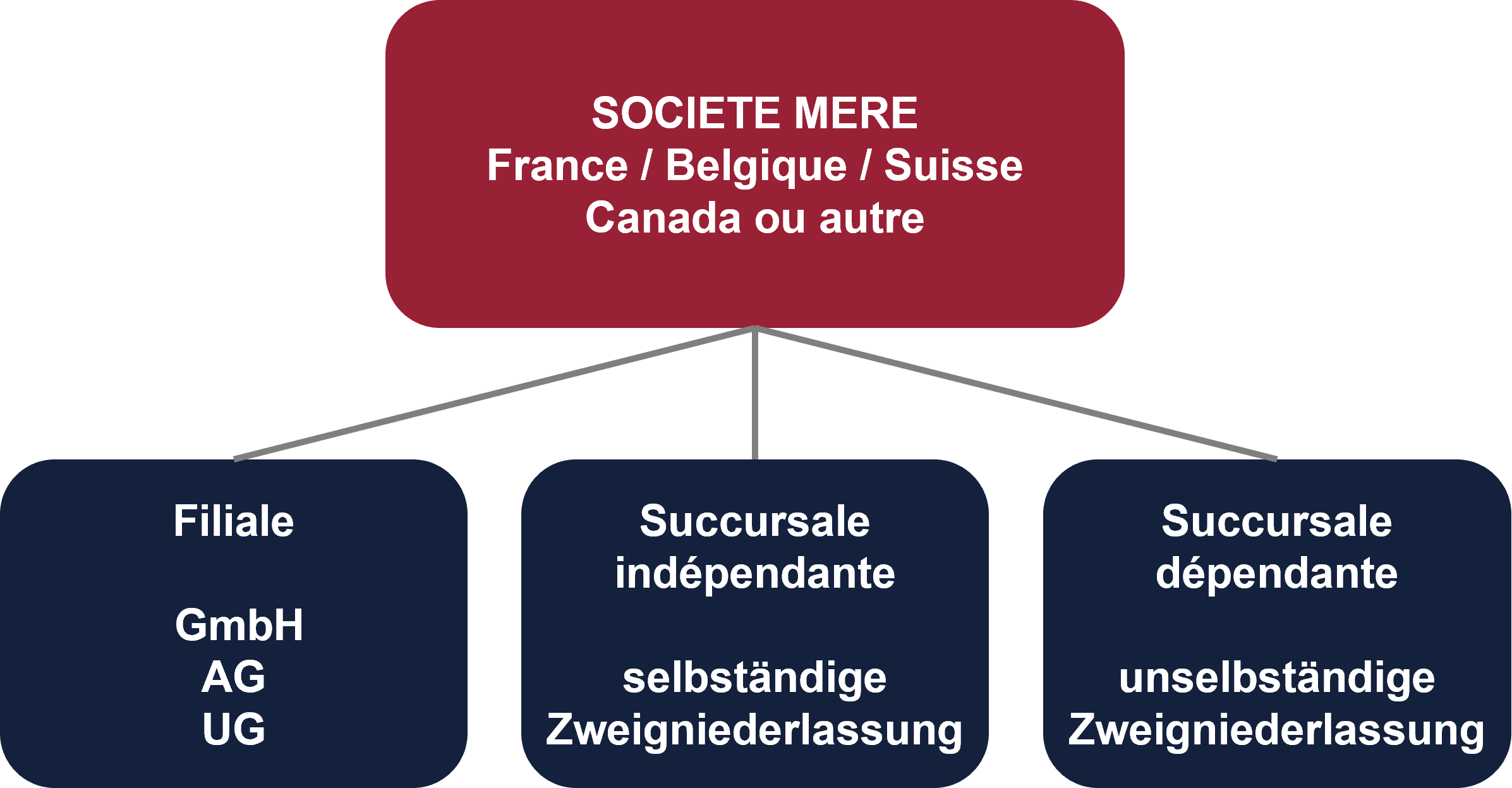 Création par une société
